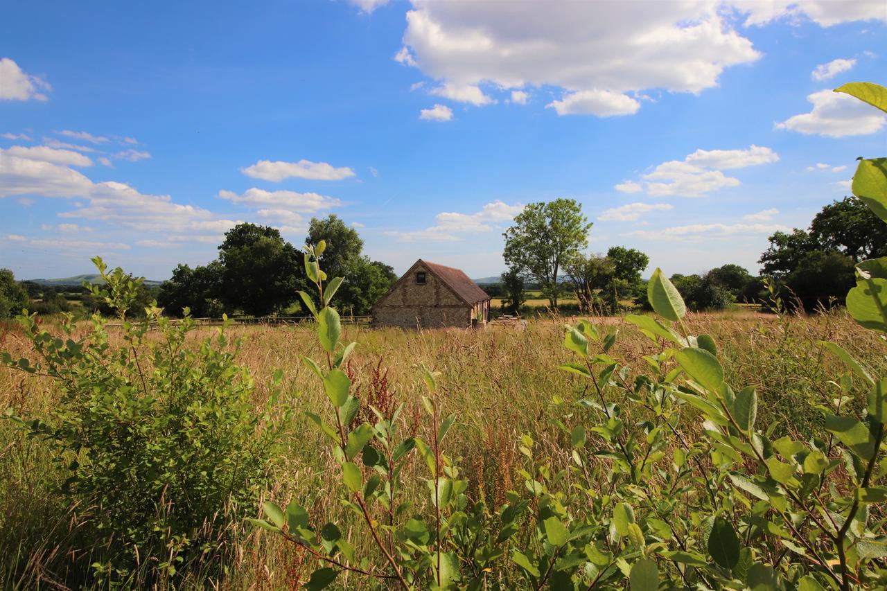 South Cottage - Rural Gem In The Heart Of The Sussex Countryside Twineham Екстер'єр фото